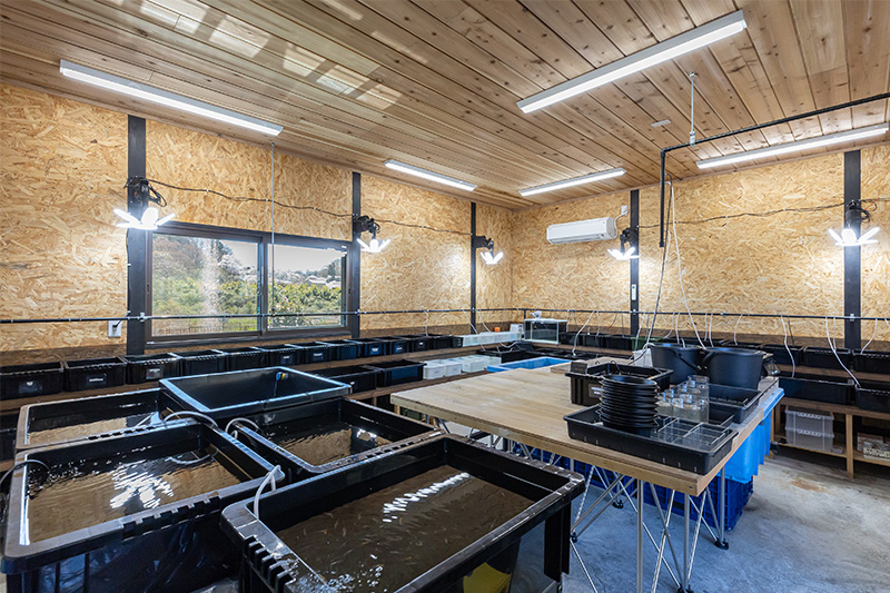 屋内の販売スペース