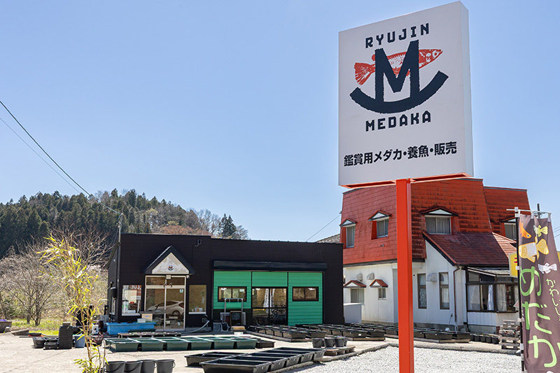 めだか屋龍神のスタッフ